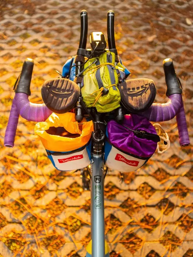 Atelier Velocidade - Desman