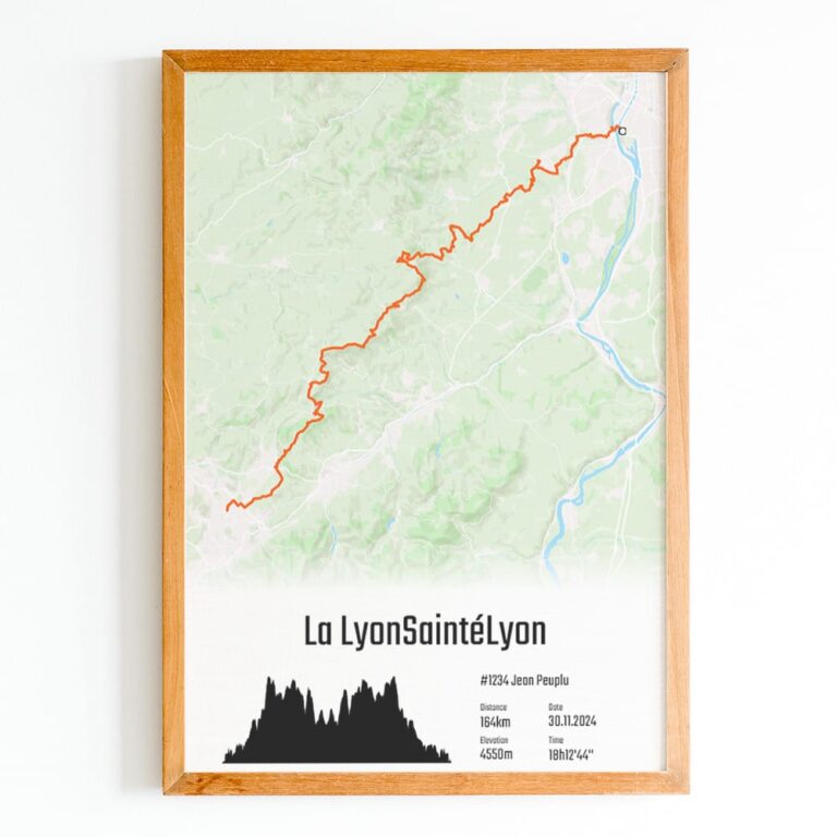 The Post Trace - Affiche LyonSaintéLyon