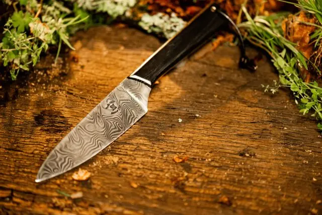 Couteaux Morta - Couteau fixe Damas XL