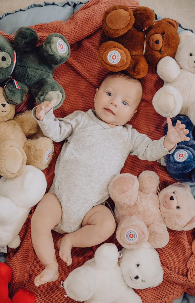 L'ours français - peluche