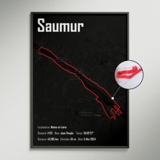 The Post Trace - Affiche 3D du circuit du Marathon de La Loire