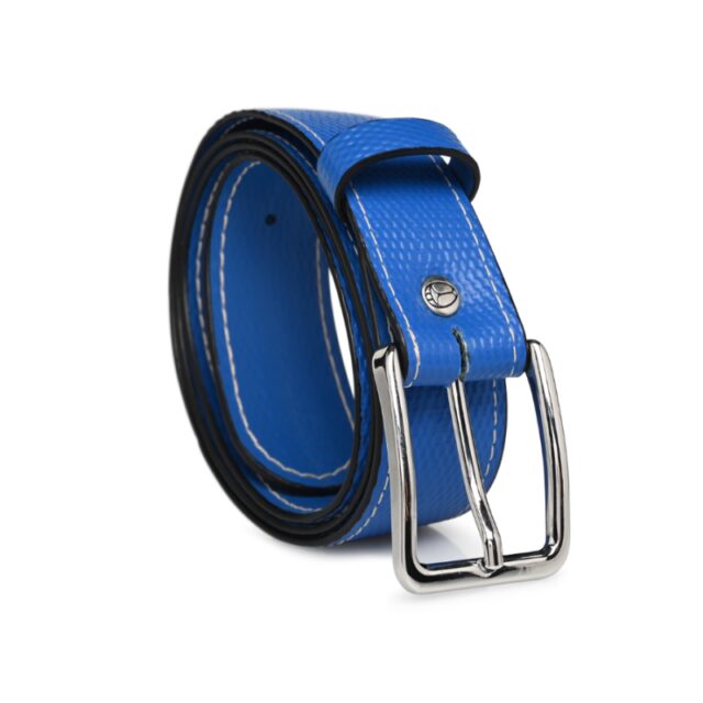 Saint-Lazare - Ceinture bleue - Charlie