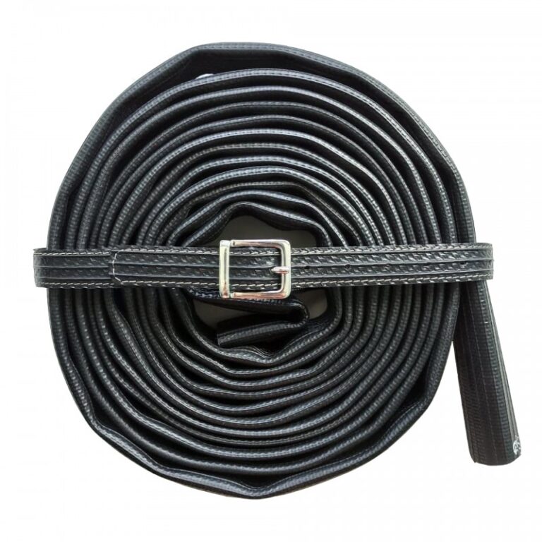 Saint-Lazare - Ceinture noire - Louise