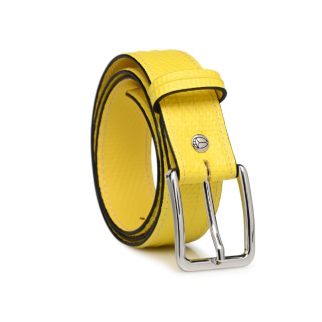 Saint-Lazare - Ceinture jaune - Charlie