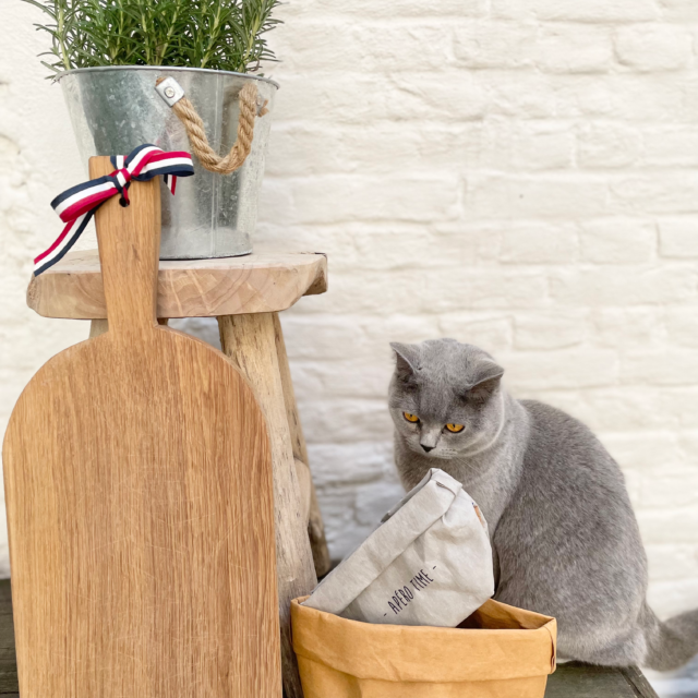 Planches BRÜT - Planche SAINT GERMAIN