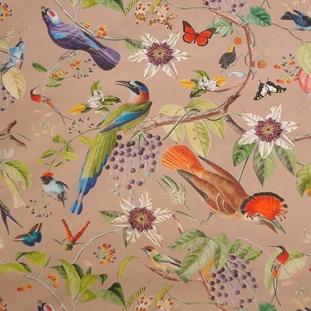 Fleur de Soleil - Serviettes Oiseaux - Lot de 2