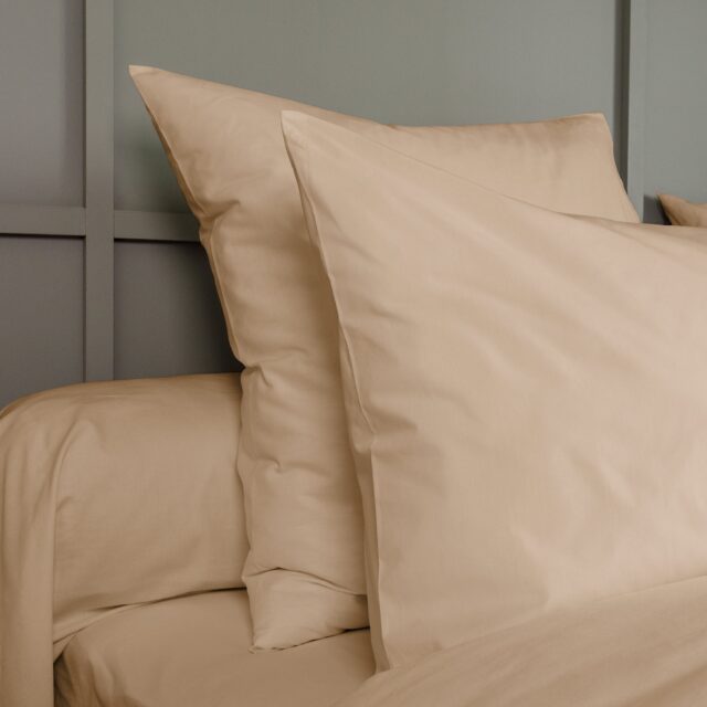 Dejorine - Taie de traversin en Percale de coton - Beige