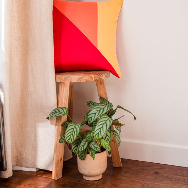 Dejorine - Housse de coussin Tripta Carmen