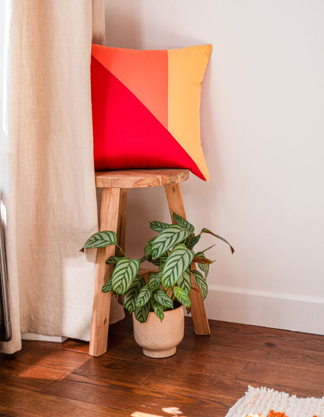 Dejorine - Housse de coussin Tripta Carmen