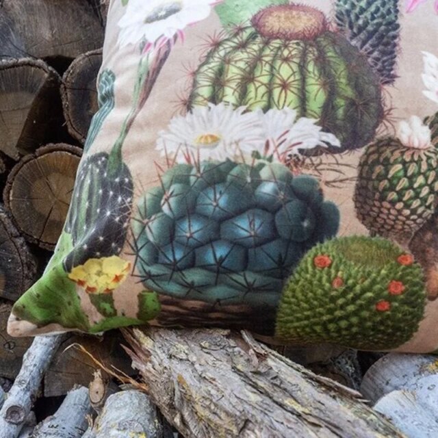 Fleur de Soleil - Coussin velours cactus