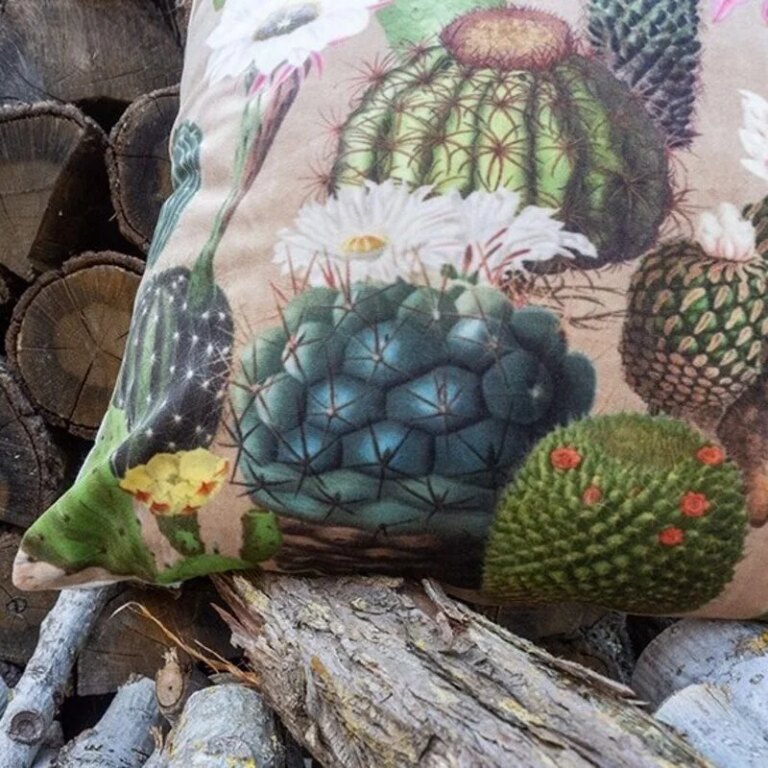 Fleur de Soleil - Coussin velours cactus