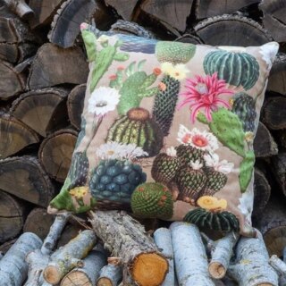 Fleur de Soleil - Coussin velours cactus