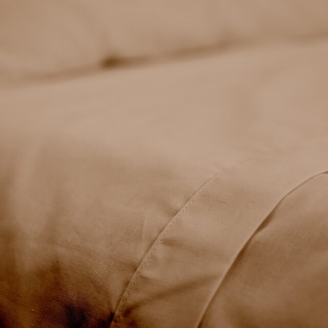 Dejorine - Drap plat en Percale de coton - Marron