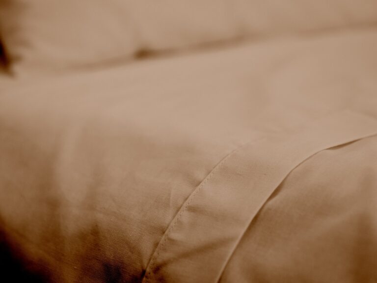 Dejorine - Drap plat en Percale de coton - Marron – 270x300cm