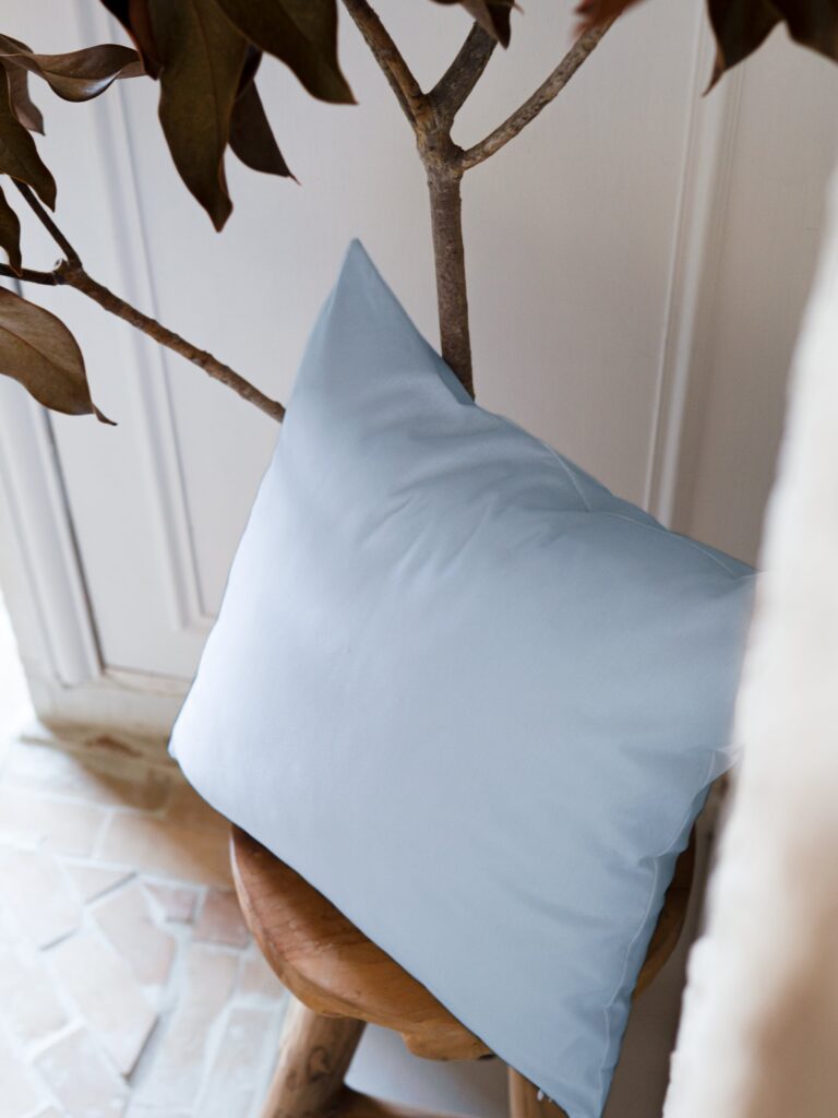 Dejorine - Housse de coussin unie en Coton - Bleu ciel – 60x60cm / Standard