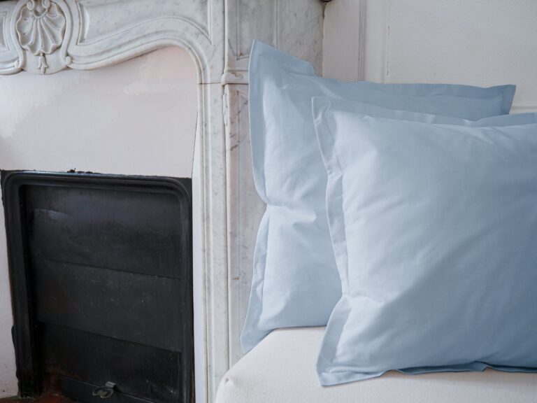 Dejorine - Housse de coussin unie en Coton - Bleu ciel – 60x60cm / Standard