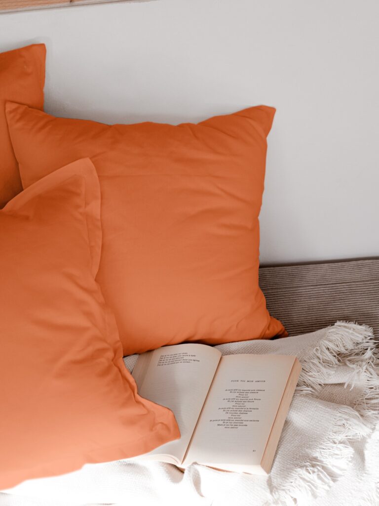 Dejorine - Housse de coussin unie en Coton - Orange – 60x60cm / Standard