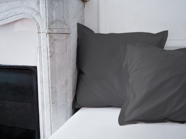 Dejorine - Housse de coussin unie en Coton - Gris souris