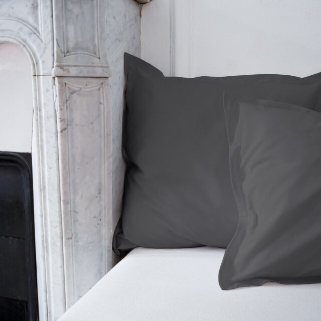 Dejorine - Housse de coussin unie en Coton - Gris souris