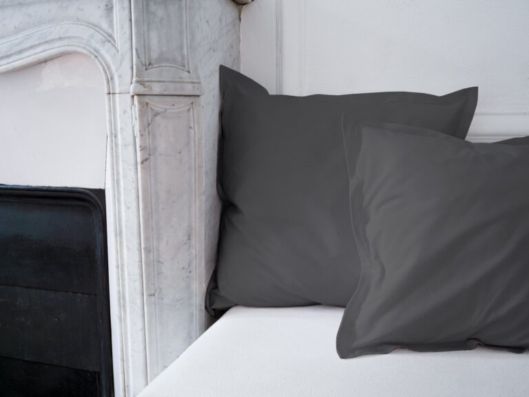 Dejorine - Housse de coussin unie en Coton - Gris souris – 60x60cm / Standard