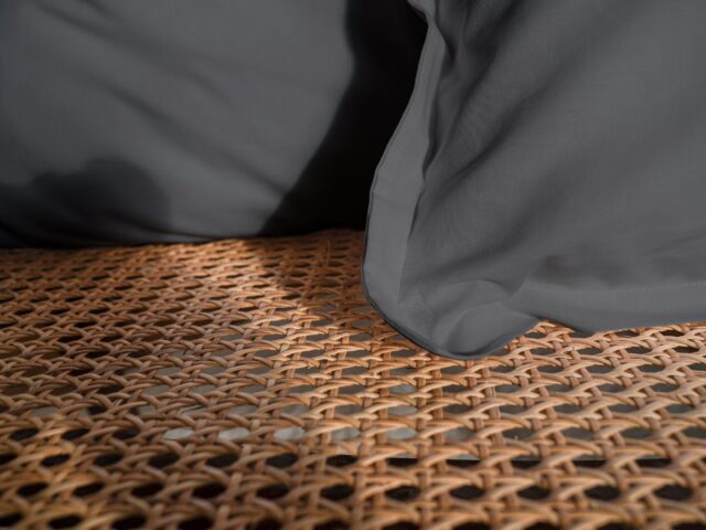 Dejorine - Housse de coussin unie en Coton - Gris souris