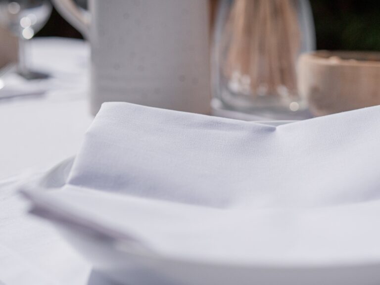 Dejorine - Serviettes de table Mensa Blanc x2 – 40x40cm
