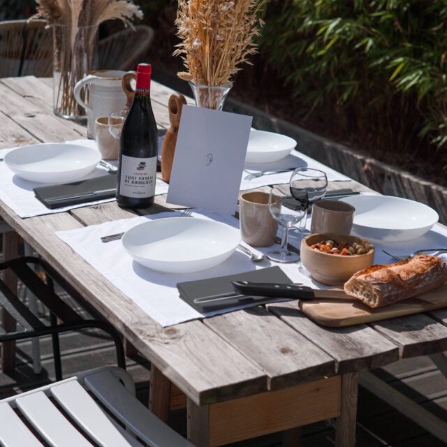 Dejorine - Serviettes de table Mensa Reflet d'ardoise x2