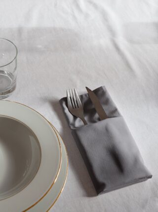DEJORINE - Serviettes de table Mensa Reflet dardoise x2