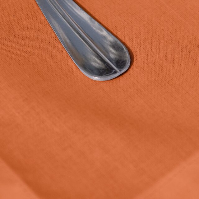 Dejorine - Sets de table Mensa Mandarine impériale x2