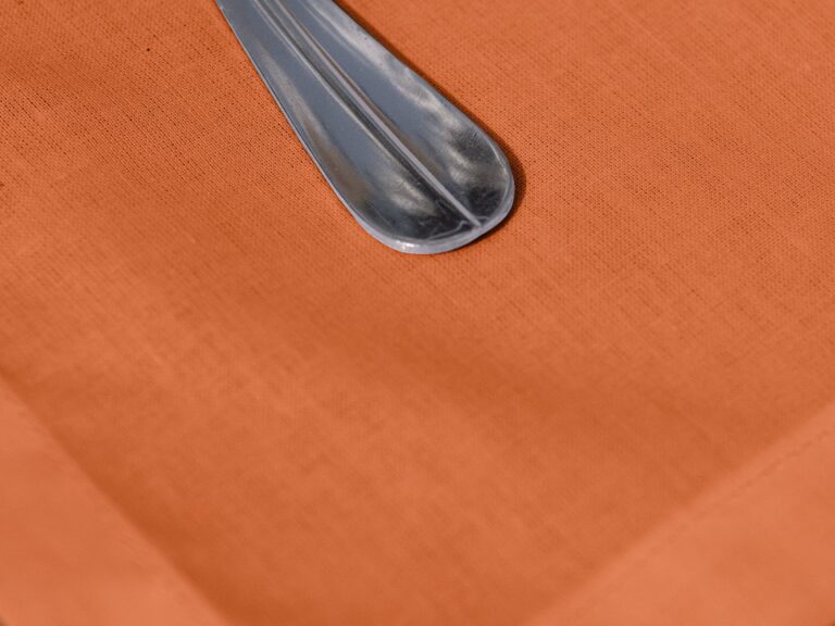Dejorine - Sets de table Mensa Mandarine impériale x2 – 35x45cm