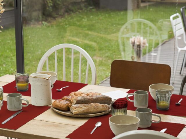 Dejorine - Sets de table Mensa Terre rouge x2