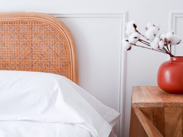 Dejorine - Taie de traversin en Percale de coton - Blanc
