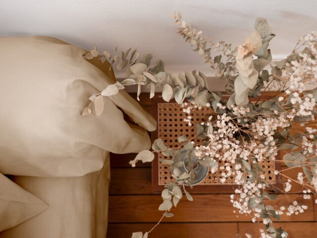 Dejorine - Taie de traversin en Percale de coton - Beige