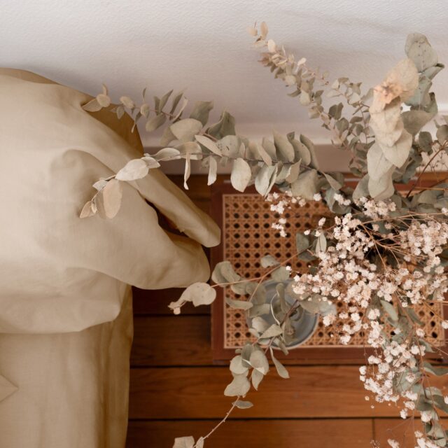 Dejorine - Taie de traversin en Percale de coton - Beige