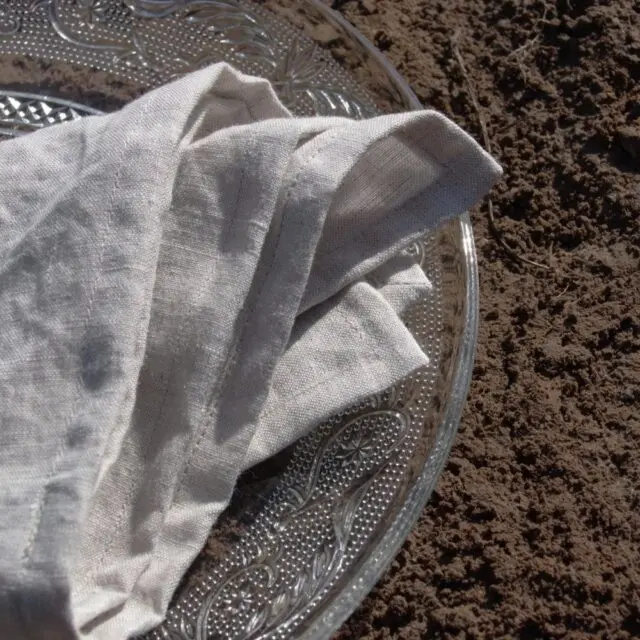 EMBRIN - Lot de 4 serviettes en lin – Naturel