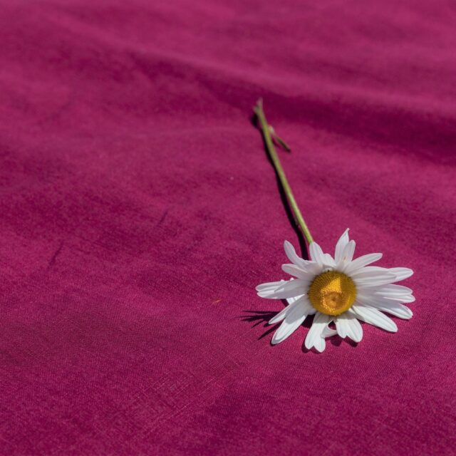 Embrin - Taie d'Oreiller en Lin - Rose