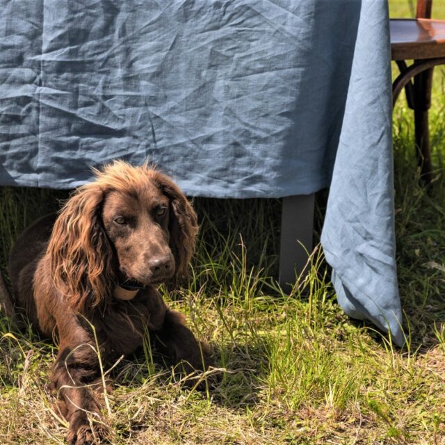 Embrin - Nappe en lin - Ardoise