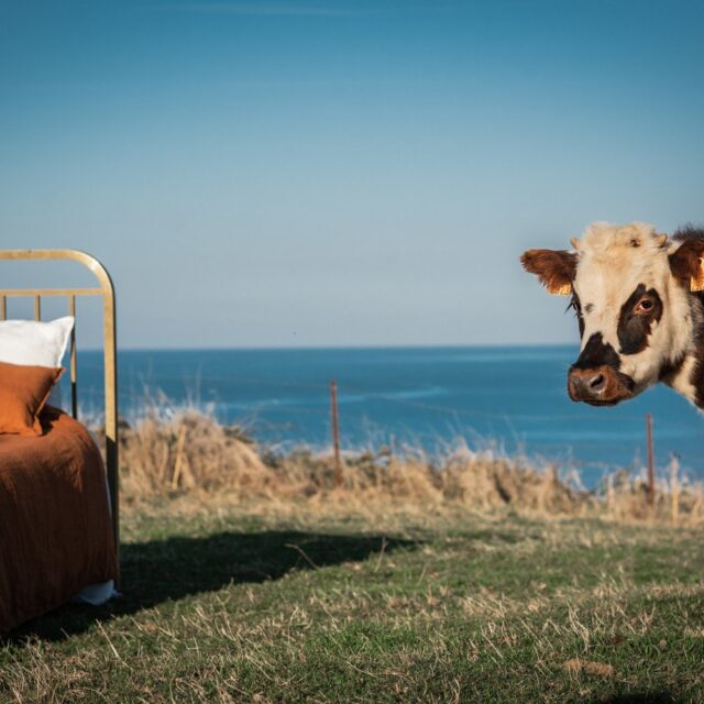 Embrin - Drap Plat en Lin - Caramel