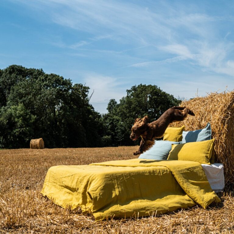 Embrin - Housse de Couette en Lin - Jaune