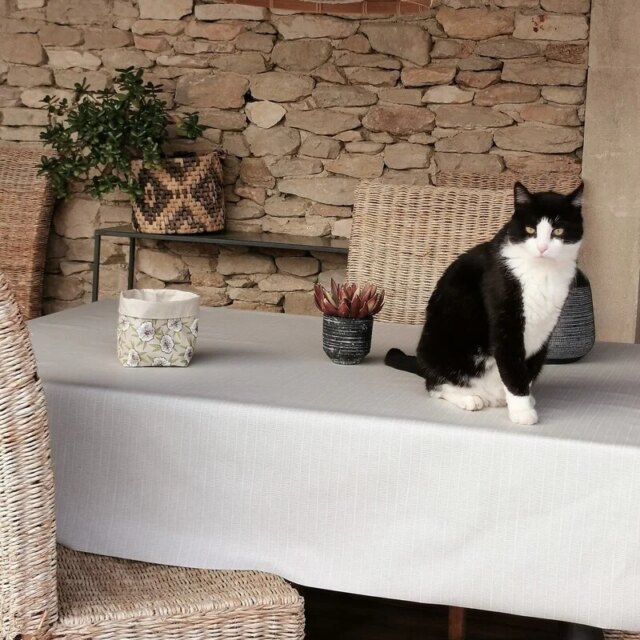 Fleur de Soleil - Nappe enduite Bambou Beige