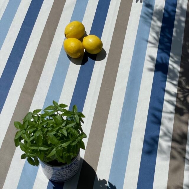 Fleur de Soleil - Nappe enduite Rayure taupe bleu avec trou de parasol