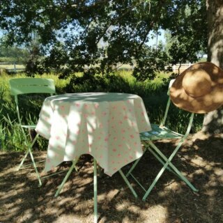Nappe enduite ronde ou ovale Ginkgo Pistache par la marque Fleur de Soleil Fleur de Soleil - Nappe enduite ronde ou ovale Ginkgo Pistache