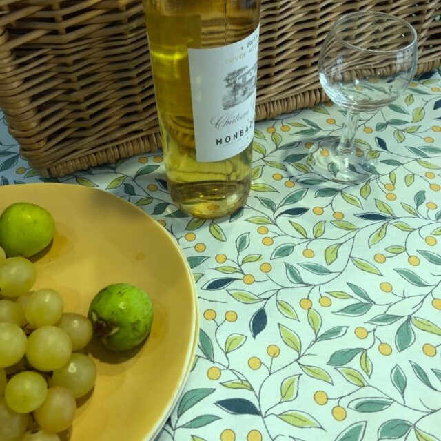 Fleur de Soleil - Nappe enduite ronde ou ovale Tilleul vert