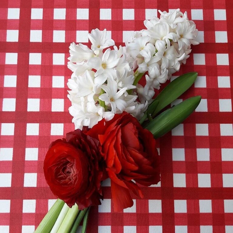 Fleur de Soleil - Nappe enduite vichy Rouge