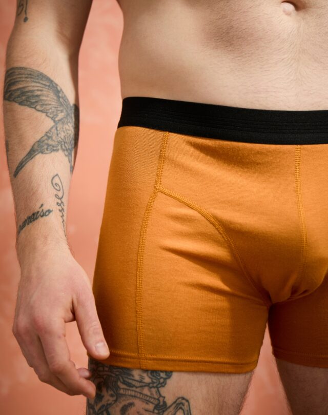 Lemahieu - 2x Boxers coton modal - Mordore - Homme