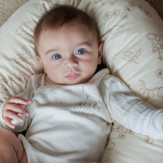 Ardelaine - Coussin d'allaitement en laine