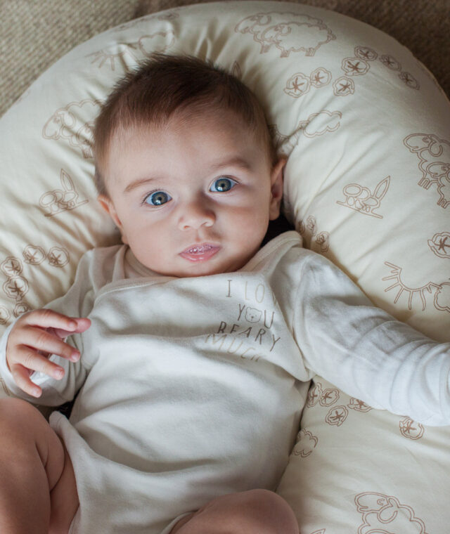 Ardelaine - Coussin d'allaitement en laine