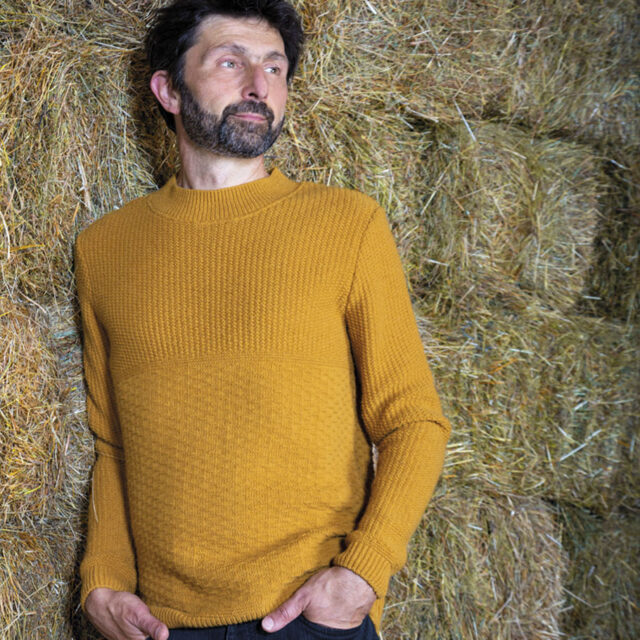 Ardelaine - Pull en laine - Albon