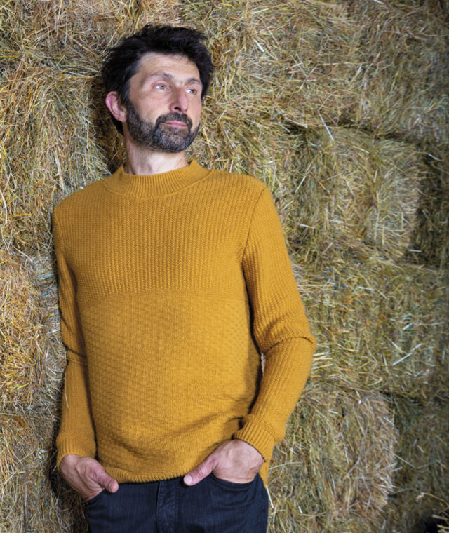 Ardelaine - Pull en laine - Albon