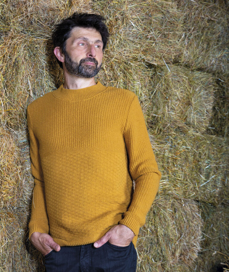 Ardelaine - Pull en laine - Albon
